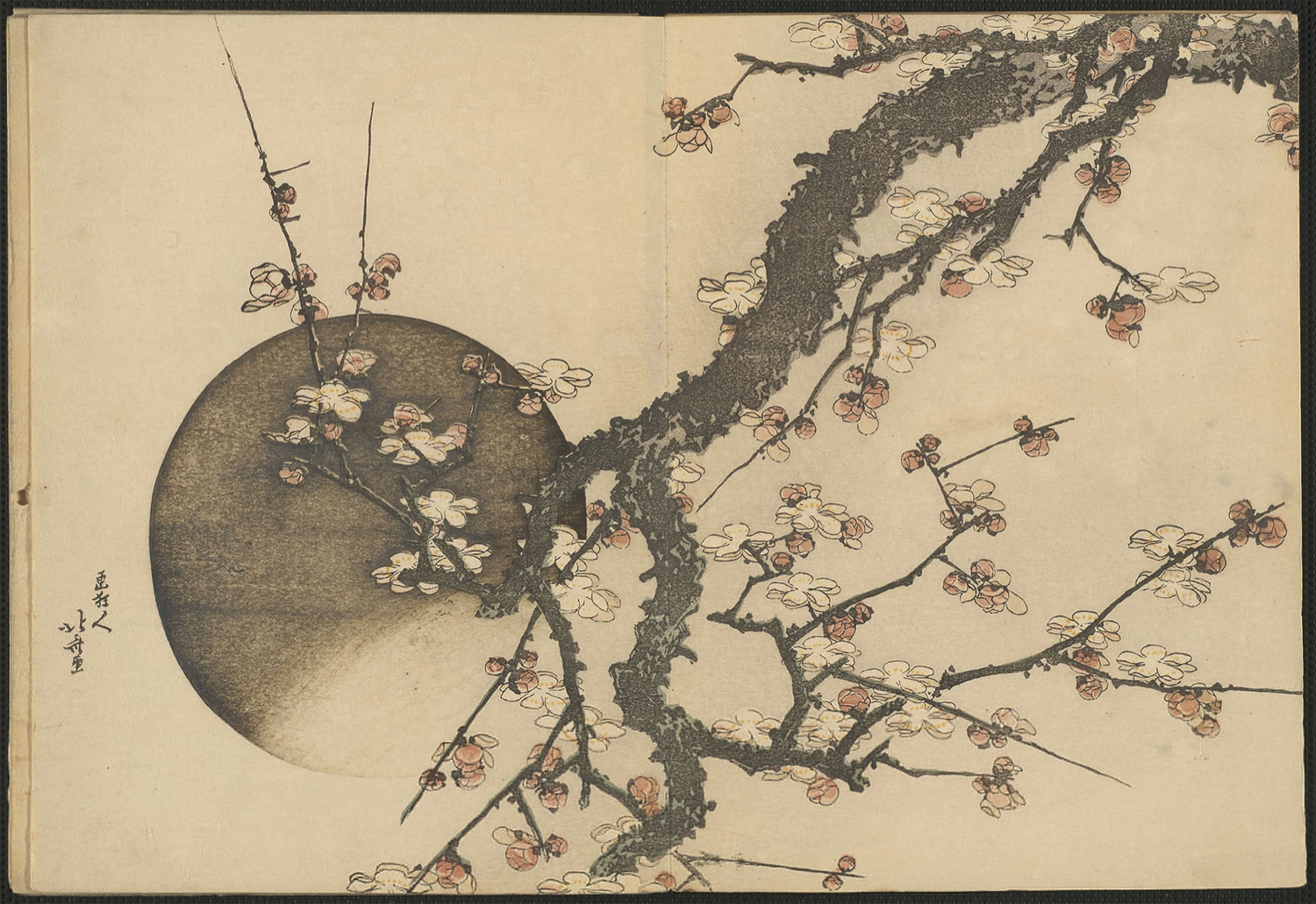 Plum Blossom and the Moon